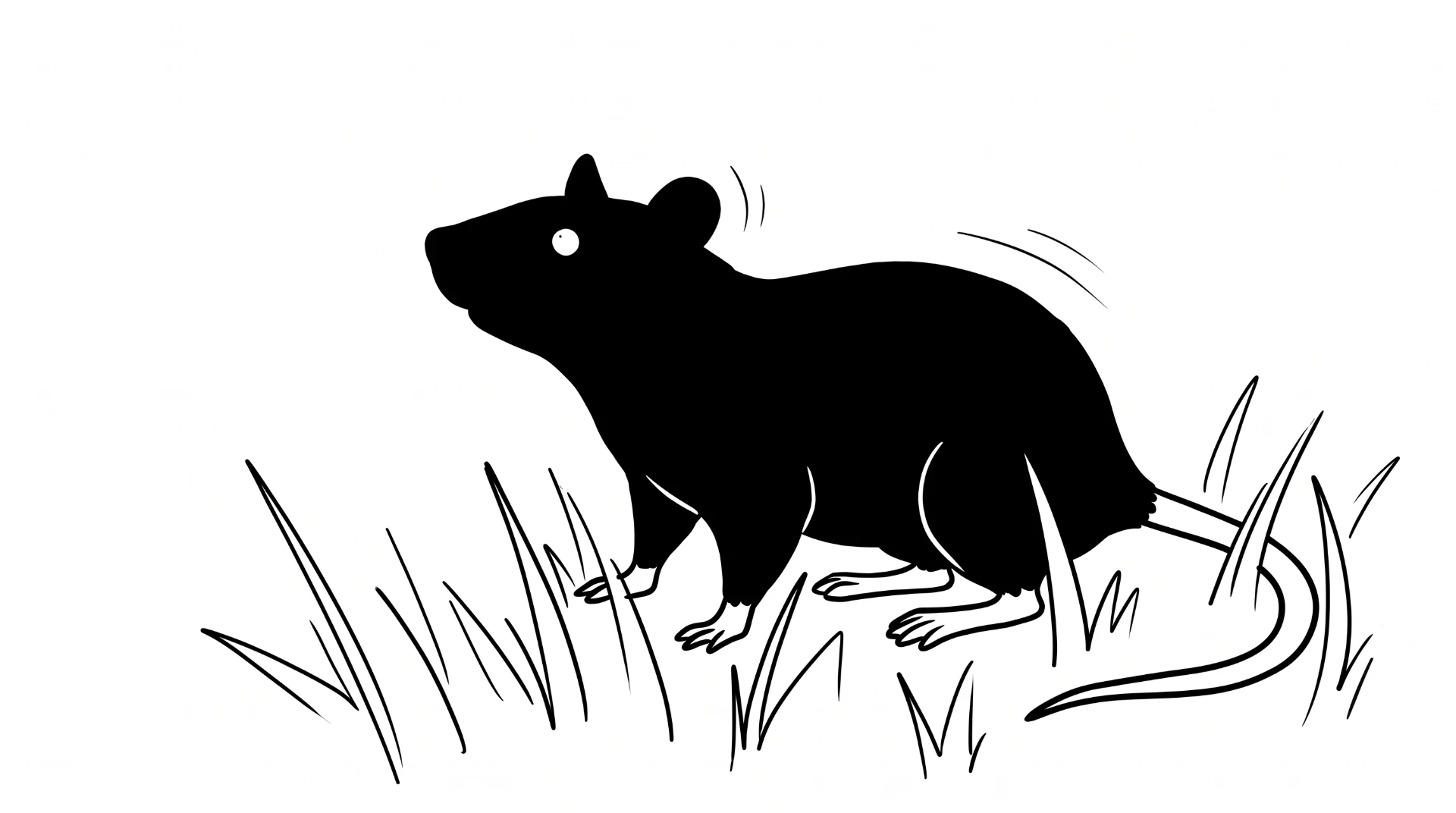 Rat circulant dans les herbes hautes en bordure de bâtiment